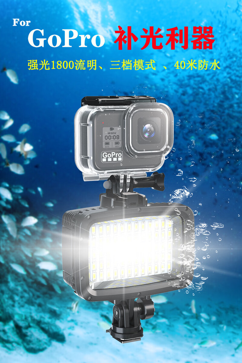 ff9ae4eb4bb5099a.jpg