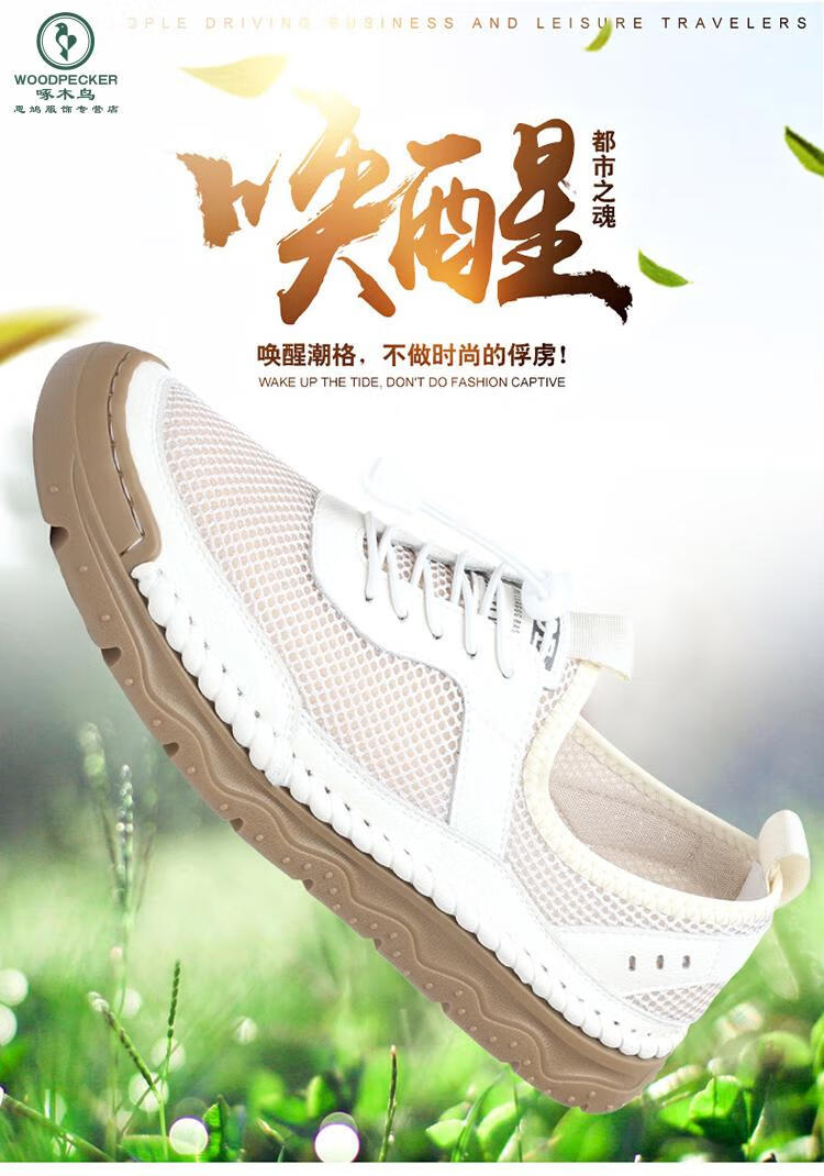 c6a6fdd40a891564.jpg