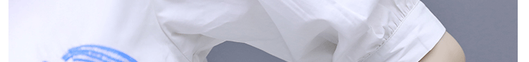 bf0029bb934d3111.png