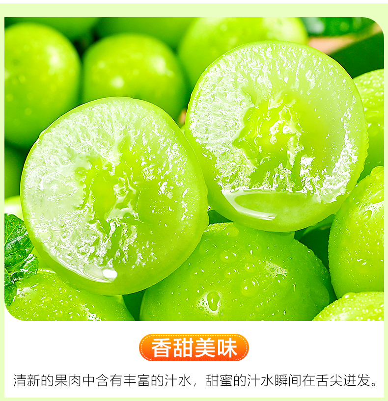 阳光玫瑰葡萄青提子晴王香印新鲜水果应当季孕妇整箱 阳光玫瑰 4斤