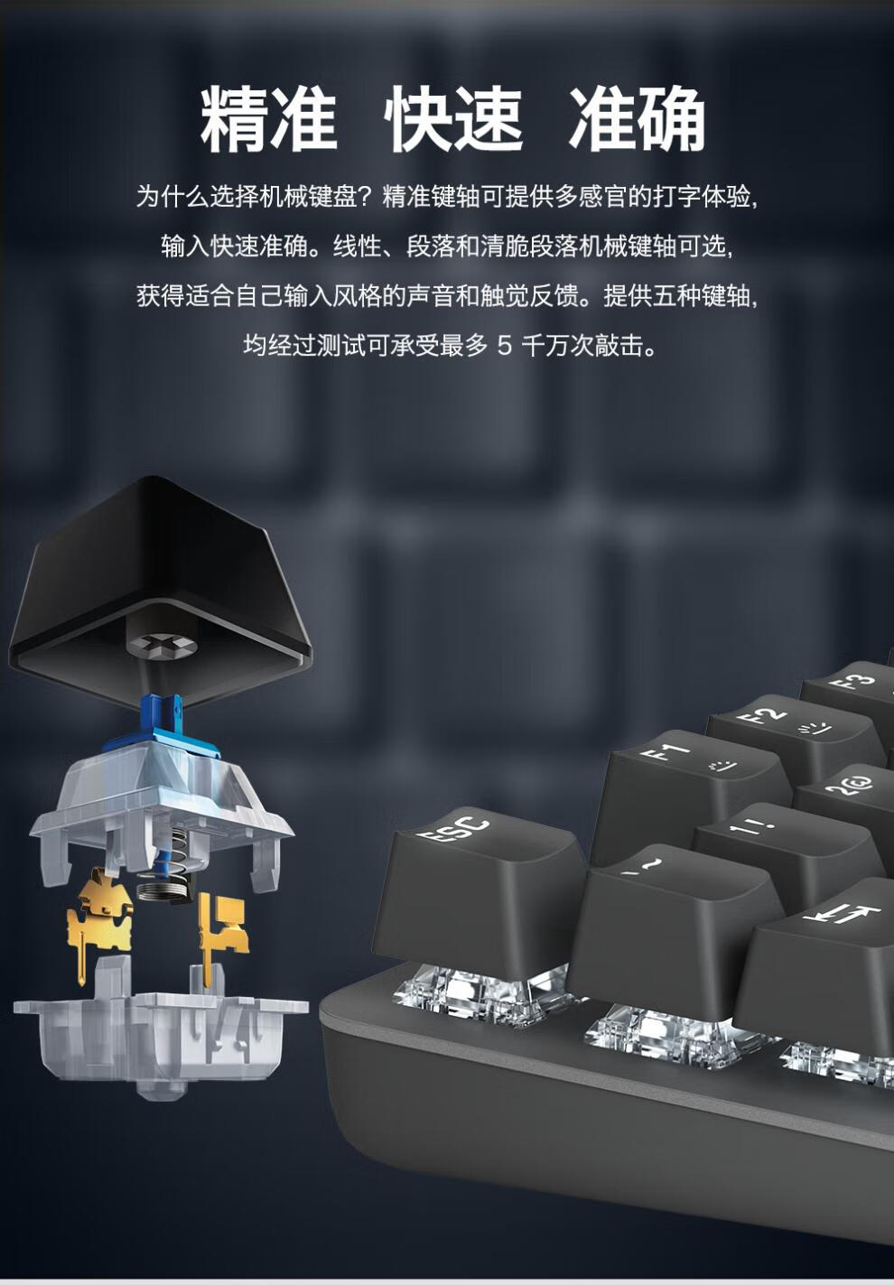 afa64b6c7b4f65c4.jpg