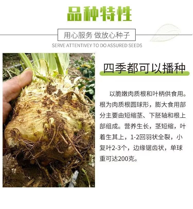 b472c912e624d233.jpg