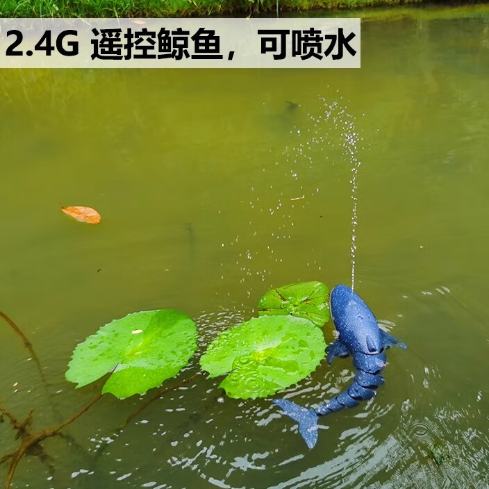 7a000a66af5335f3.jpg