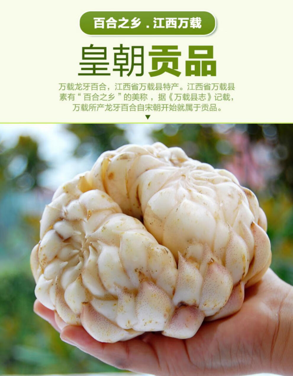 江西万载龙牙百合粉 纯粉宜春特产 250g500g农家食品冲泡 礼盒装 龙牙