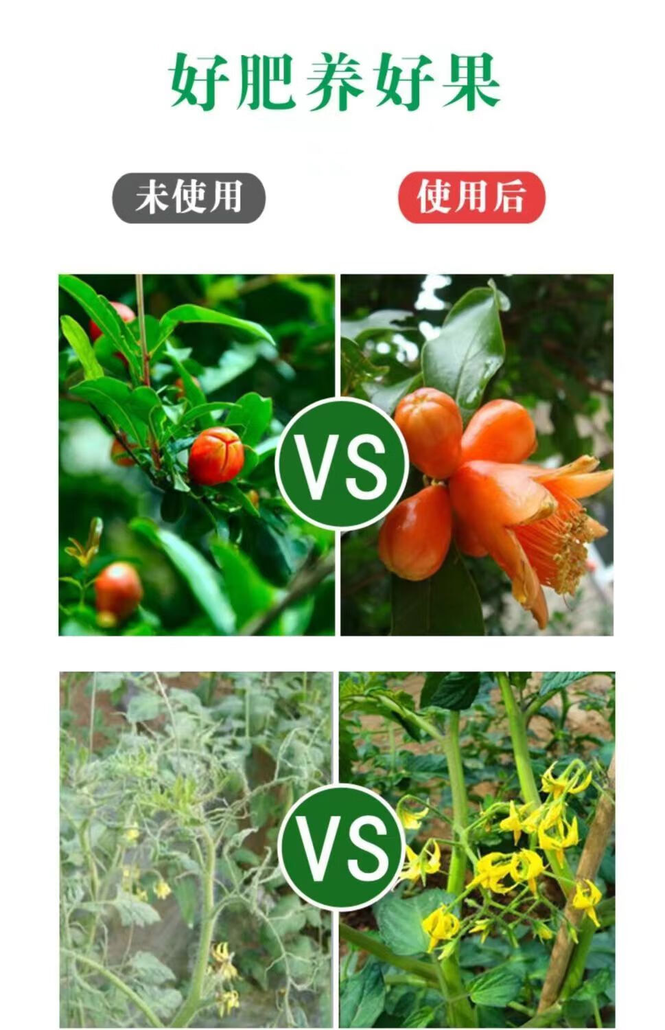 c50411bcdc65022e.jpg