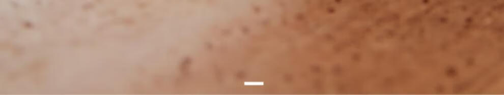 ac0d132d738c90cf.jpg