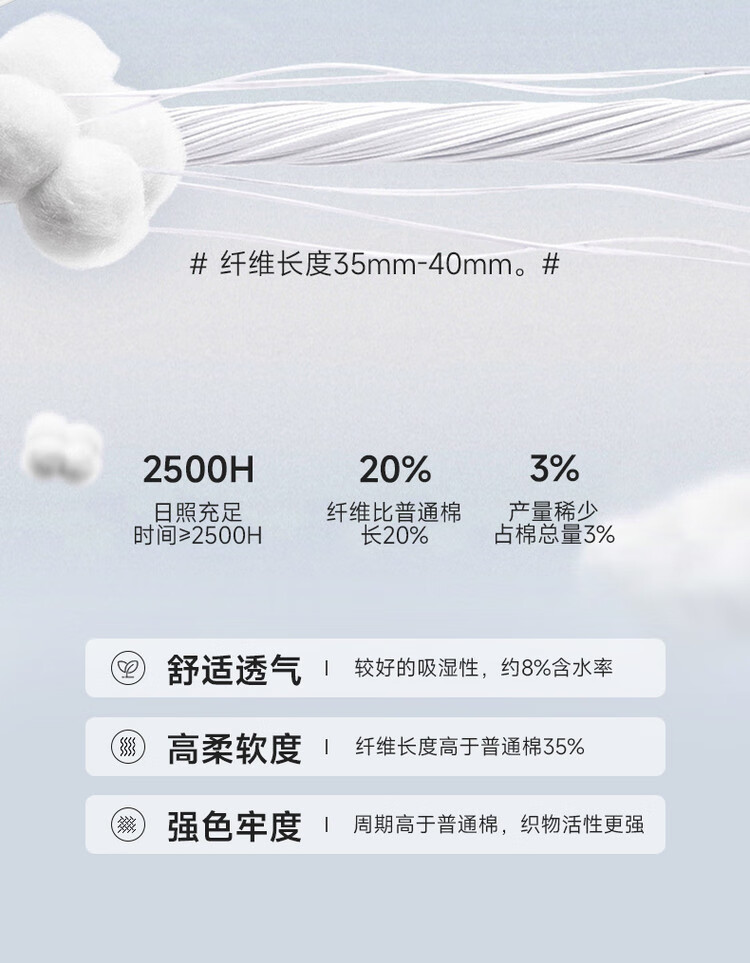 209cc8083026eb82.jpg
