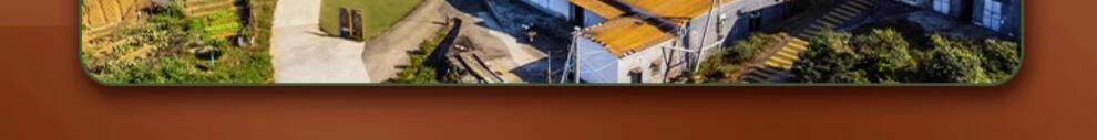 3ef951abc9f07cbb.jpg