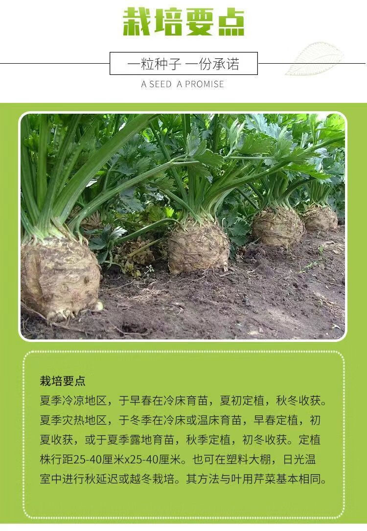 40c21623bb8e5a1a.jpg