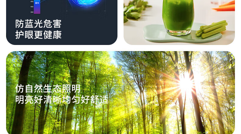 08b34f06a6ace0d5.jpg