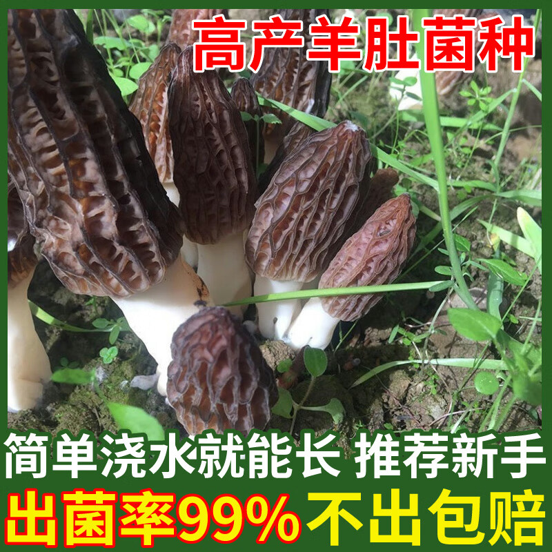 0650942efa1a8b29.jpg