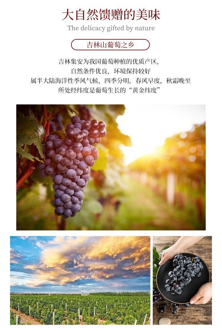 安味道 通化冰酒 自酿甜型 北冰红冰葡萄酒 5斤装 原汁低度爽口果酒