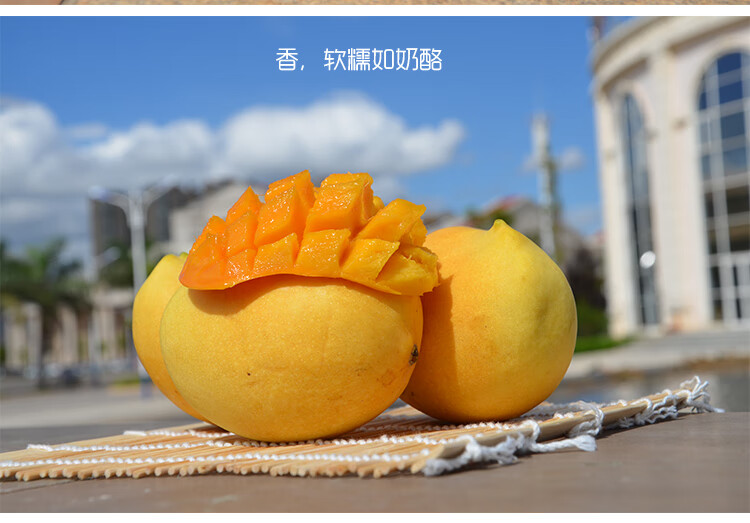 正宗圣德龙芒果新鲜大果9斤缅甸进口应季热带水果鹰嘴芒顺丰 圣德龙