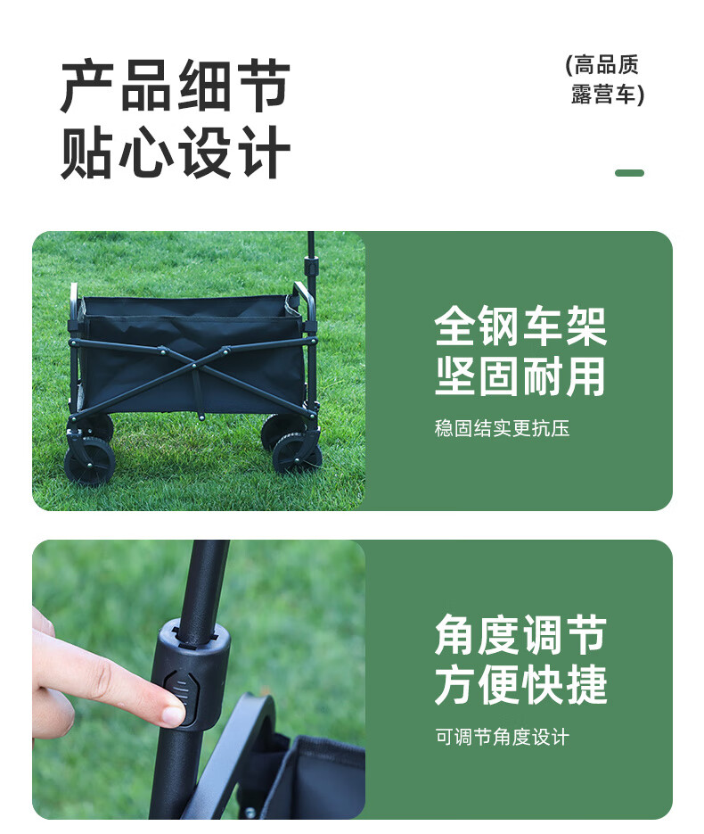 8e3735e4-0b22-4c21-8236-120625ac5829.jpe