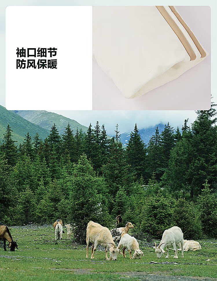 04a202ddc81c54a1.jpg