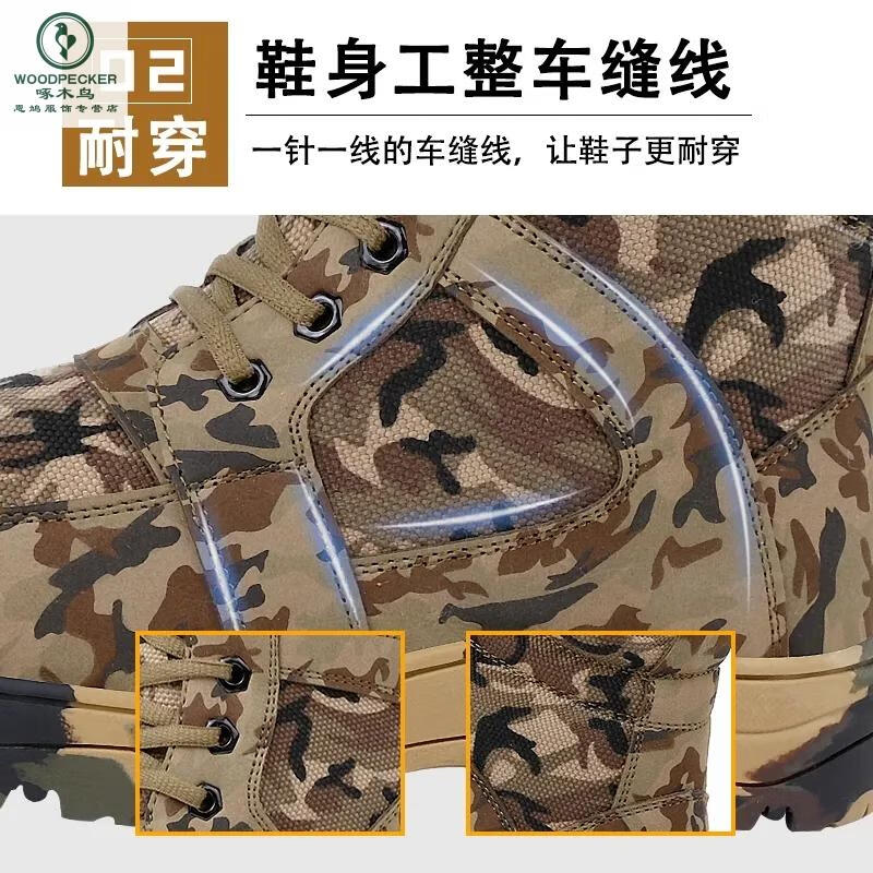 b3644fe1c560ece7.jpg