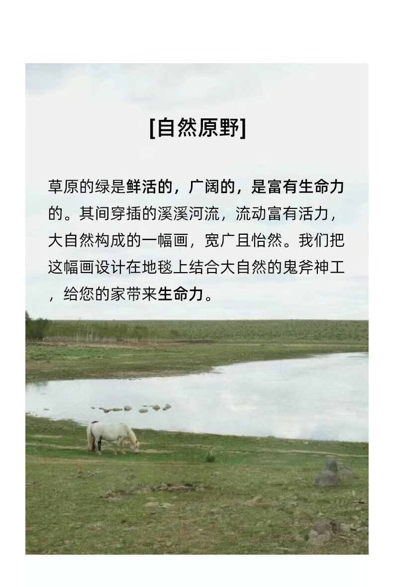 505dd883e35998a1.jpg