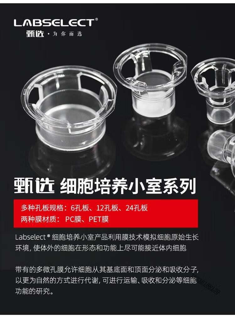 06a458fd52e8e176.jpg