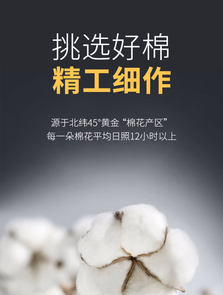 48f3fee5ecbcf760.jpg.avif