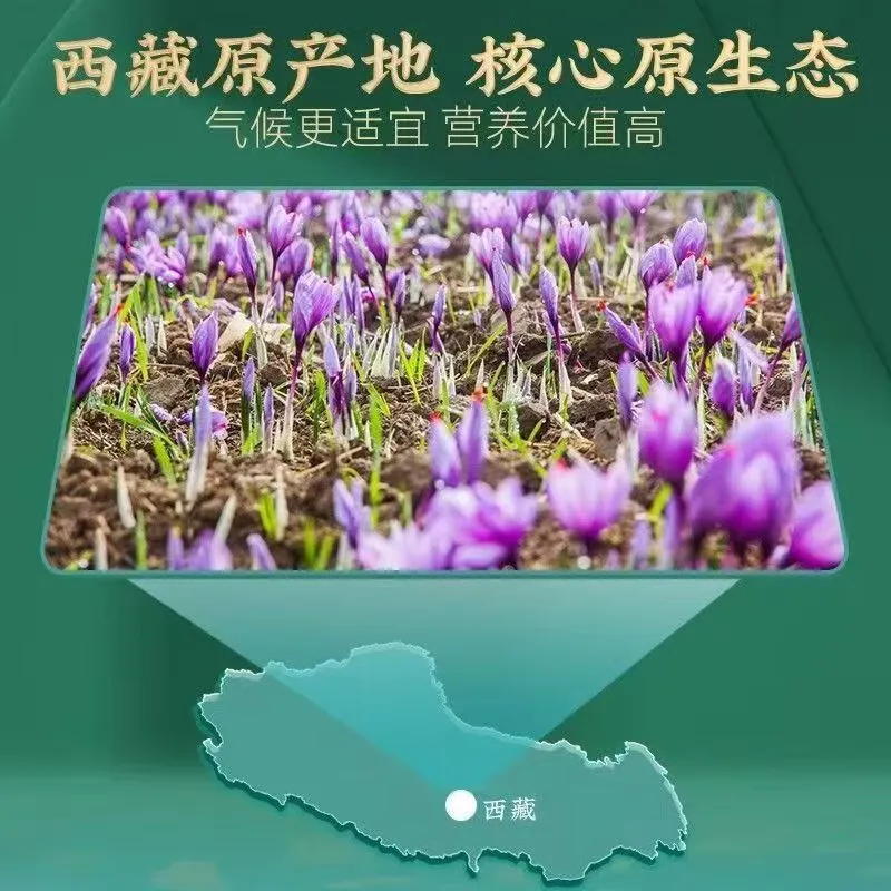 【 Essential Gift 】 Genuine and authentic Tibetan wild premium saffron, suitable for both men and women to brew tea. 10g per can thumbnail 7