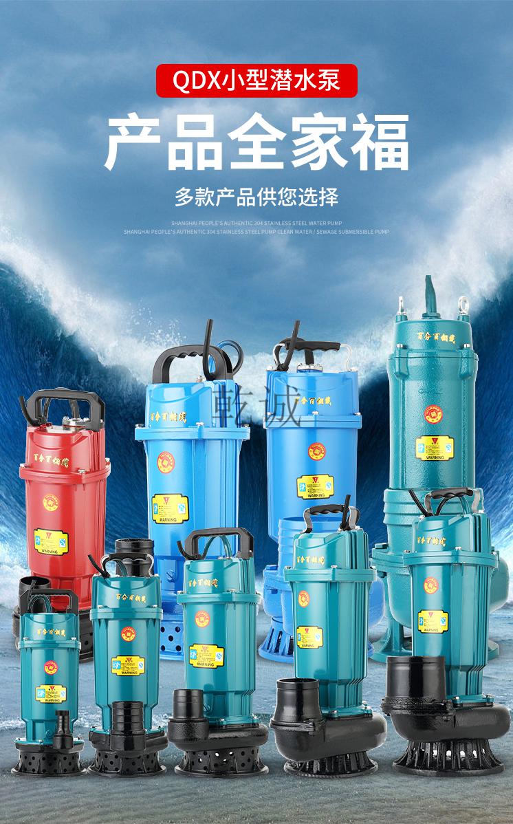 国标220v潜水泵大流量大扬程抽水机高扬程潜水泵4寸污水泵 1.