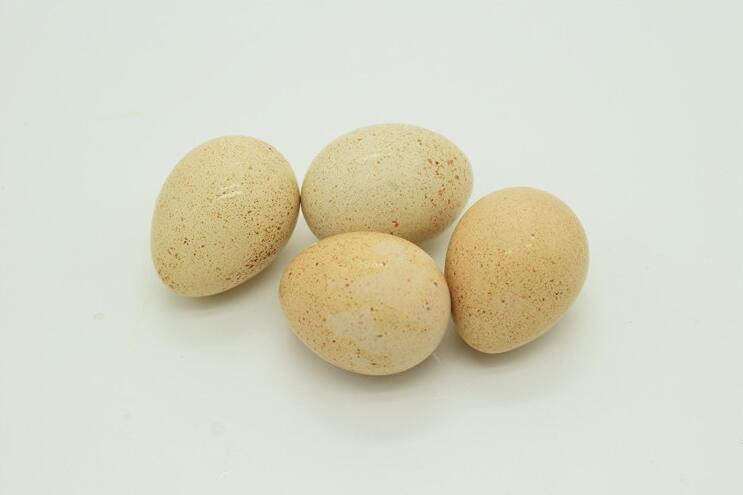 30枚装新鲜鹧鸪蛋 咕咕鸡蛋增免疫提智力土特产昌隆福记 30枚装新鲜