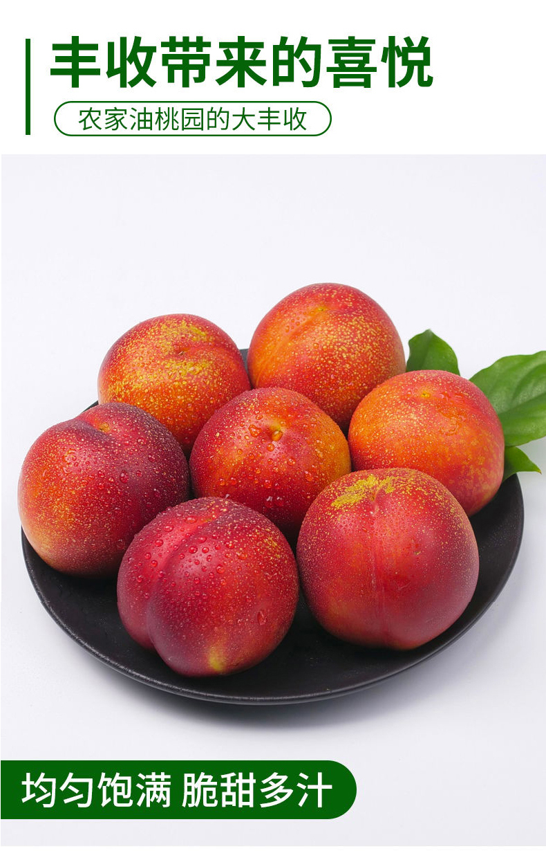 更多参数>>原产地:四川国产/进口:国产包装形式:简装类别:桃品种:油桃