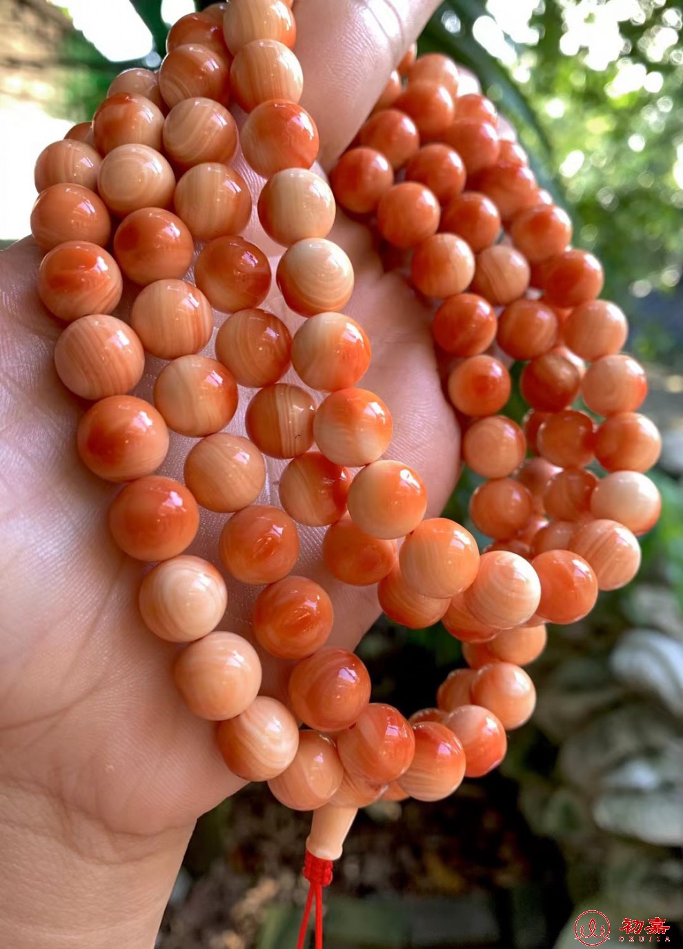 初嘉 万宝螺手串108颗手链 佛珠项链挂件 毛衣链高端本命年挂带血槽