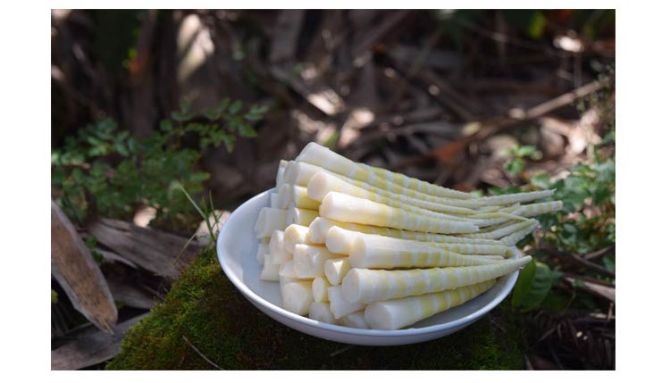 牛尾笋小竹笋新鲜鲜笋子笋农家笋尖笋干5斤包装