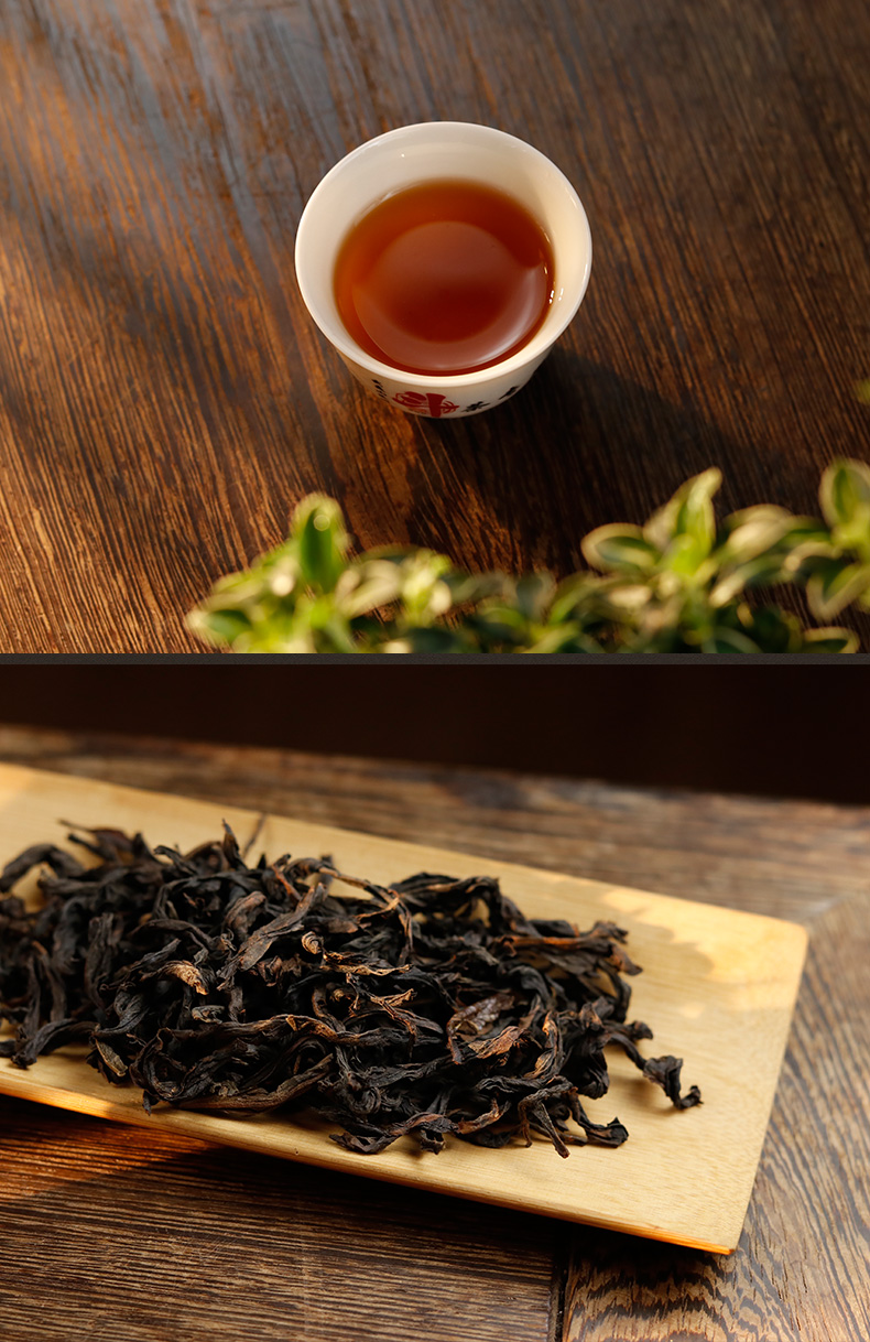 九龙窠母树纯种大红袍茶叶奇丹三坑两涧武夷山岩茶