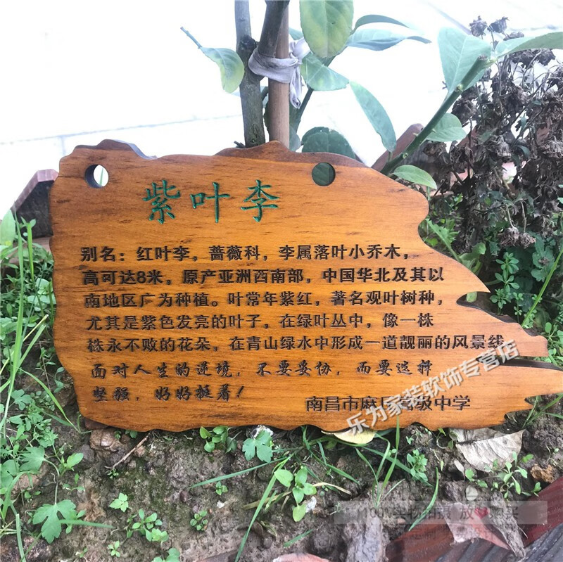 树木标示牌树牌定制实木质花草牌树木牌装饰挂牌植物标识牌悬挂广告牌