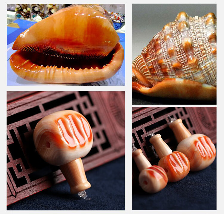 吉裕 精选保真藏式万宝螺三通佛头 满血槽佛塔佛珠 星月菩提diy配饰