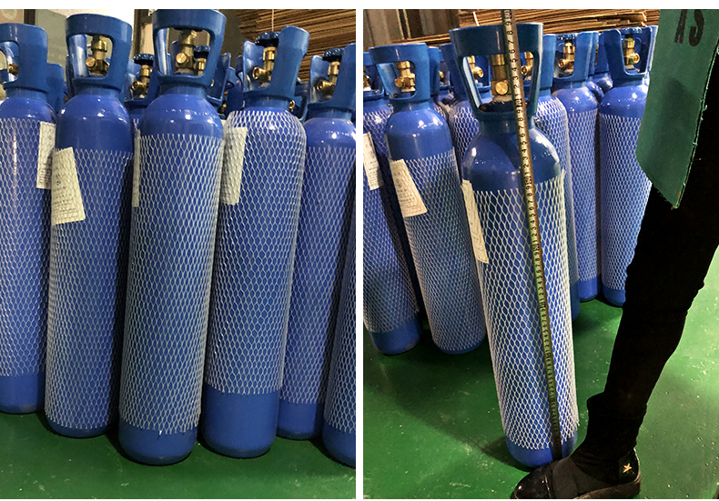 氧气瓶家用老人医用便携式吸氧机孕妇10升15l氧气罐高原带小推车 10升