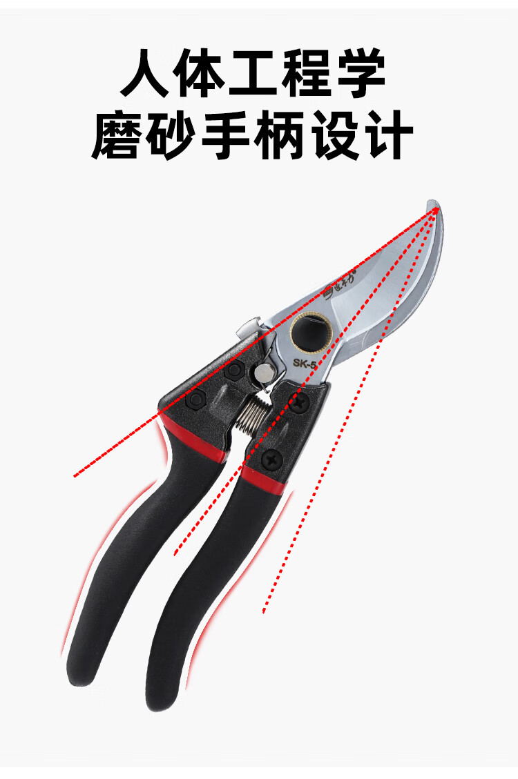 2ff90d105927fada.jpg