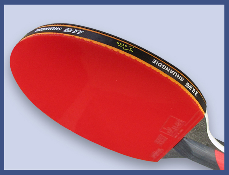 双蝶乒乓球拍2支初学者兵乓球直拍横拍儿童小学生级训练单拍 8星单支