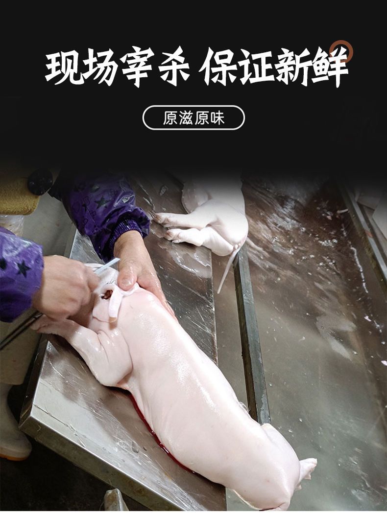 福茹洲 冰鲜烤乳猪整只冷冻现杀乳猪新鲜广东烧腊小乳猪酒店宴会 乳猪