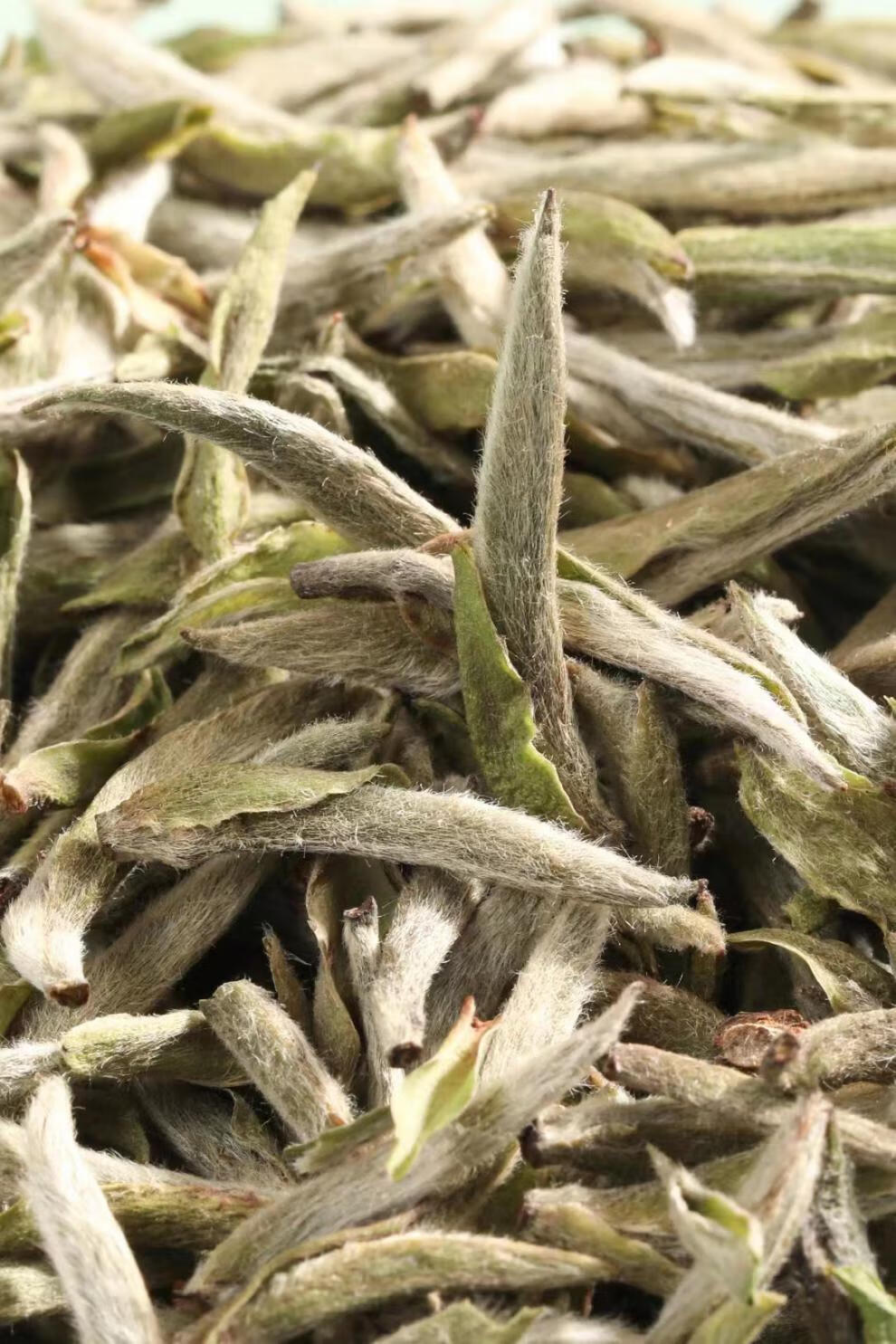 2021年白毫银针 云南景谷大叶种白茶散装250克茶叶花香 毫香 蜜甜 250