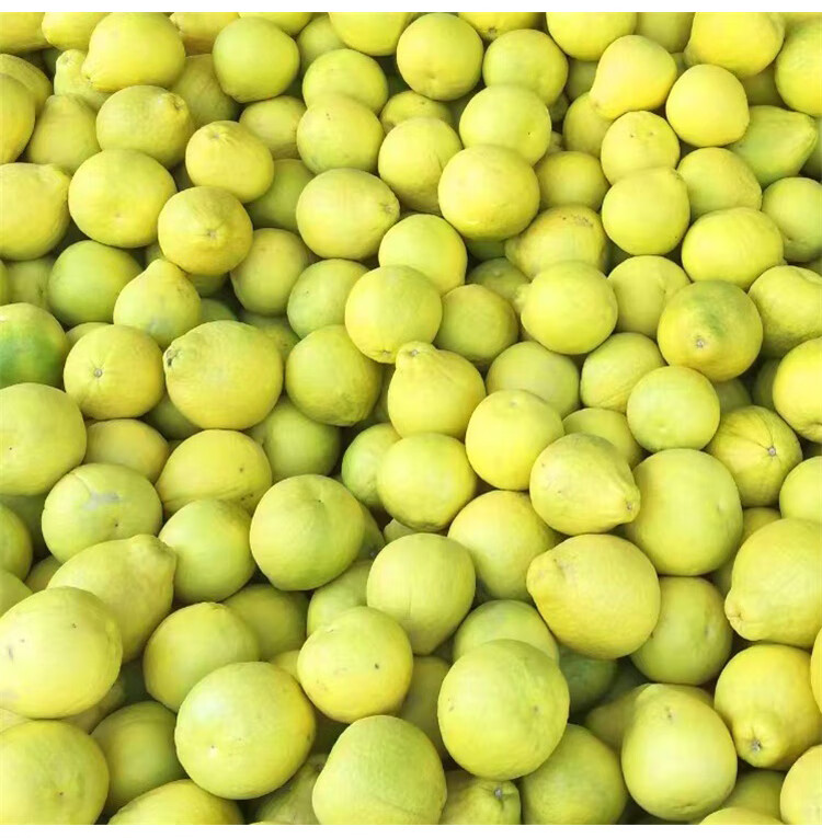 贝娇芬 正宗湖南永州特产新鲜水果沙田柚农家30年老树柚子粗石江 9.