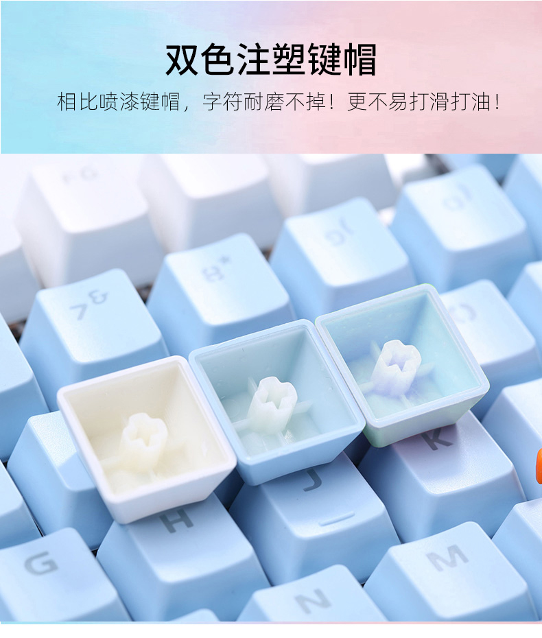 b2f92175c4c529fe.jpg