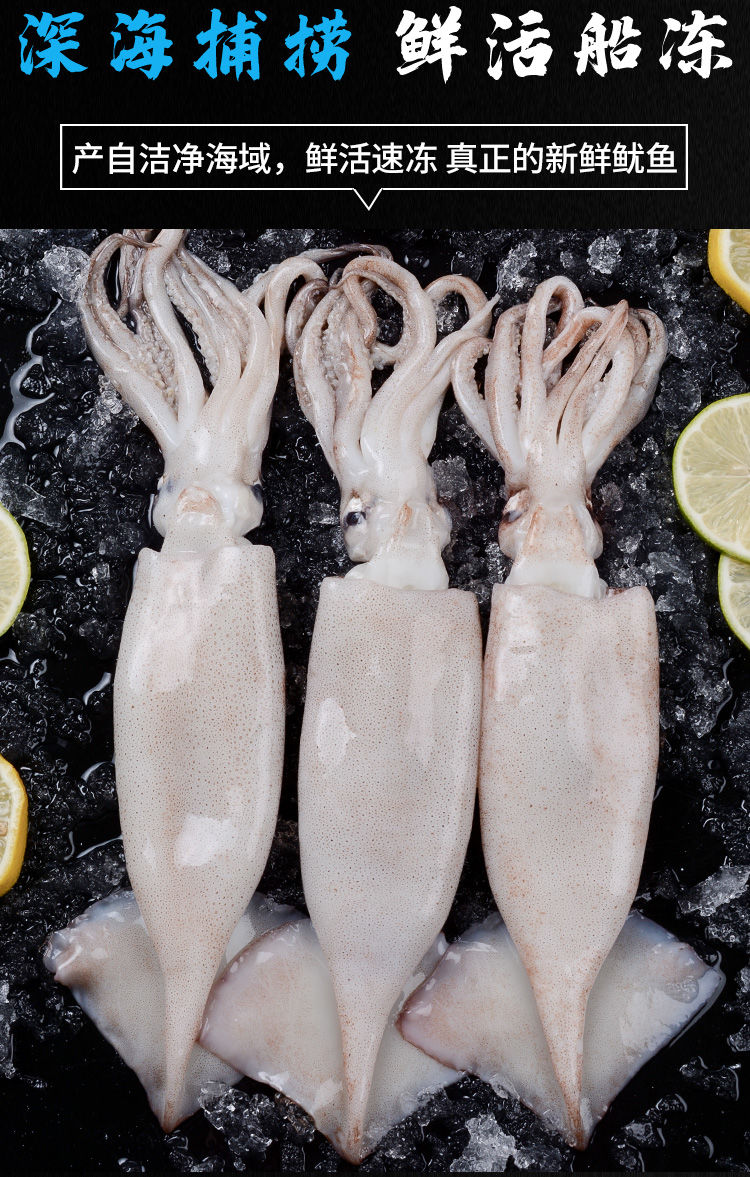 鱿鱼新鲜冷冻大鱿鱼冻鱿鱼片整只鱿鱼烧烤食材海鲜水产爱唯温妮5斤