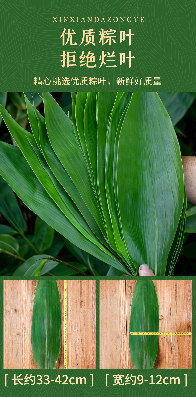 亦升端午粽子叶粽叶新鲜大号新叶棕叶非干包粽子的叶子端午粽子棉线