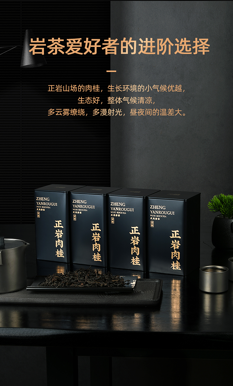 正岩肉桂茶250g大红袍茶叶浓香型马头岩武夷山岩茶礼盒罐装 250g
