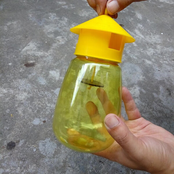 果蝇诱捕器果实蝇针锋性诱剂果蝇引诱剂瓜果花卉诱虫配药水果蝇药水10