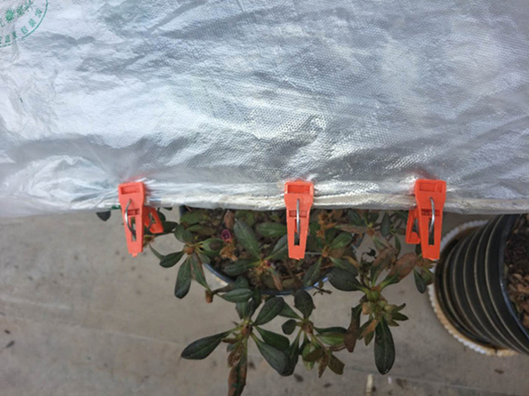 大棚二膜夹子塑料薄膜固定夹农用内膜夹子二层棚膜卡子蔬菜棚专用