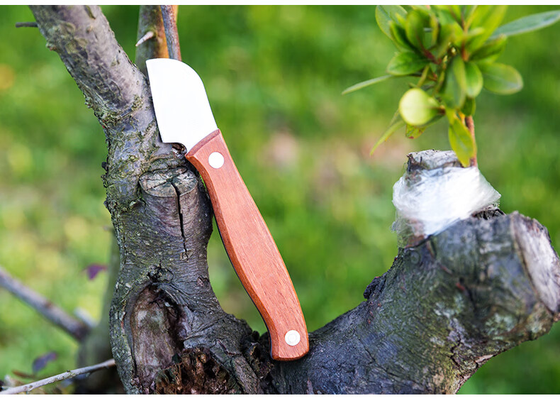 手工刀具嫁接刀特芽接刀果削木接树刀果树嫁接园艺工具b003大号钢头