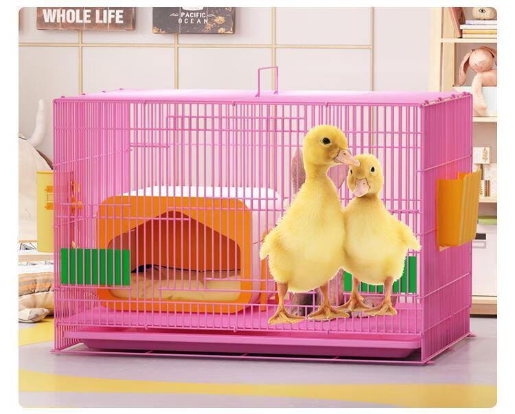 *柯尔鸭笼子防喷尿可爱养小鸡的窝宠物小鸭子围栏鸡鸭鹅专用饲养笼