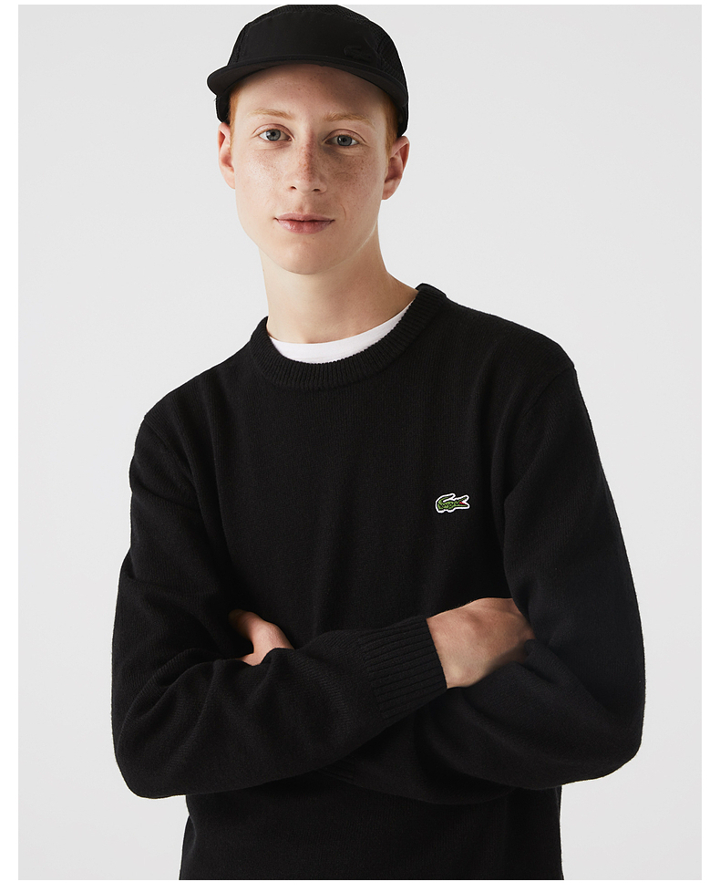 法国鳄鱼男装经典款秋季易穿搭新款时尚休闲舒适保暖针织衫毛衣上衣男