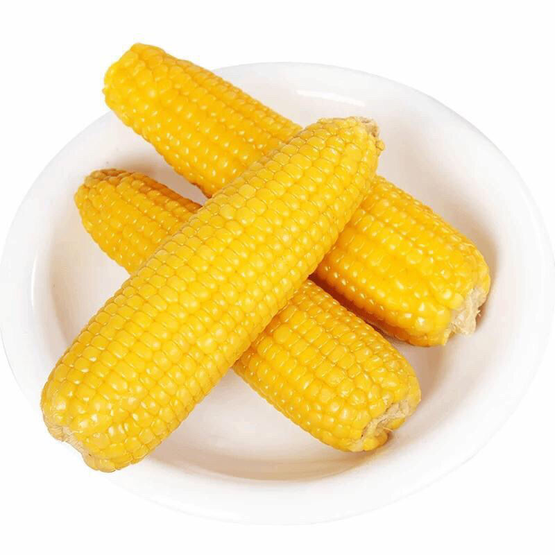 新鲜东北甜糯黄玉米棒黏玉米香甜可口 260g-300g大棒黄糯 10棒【图片