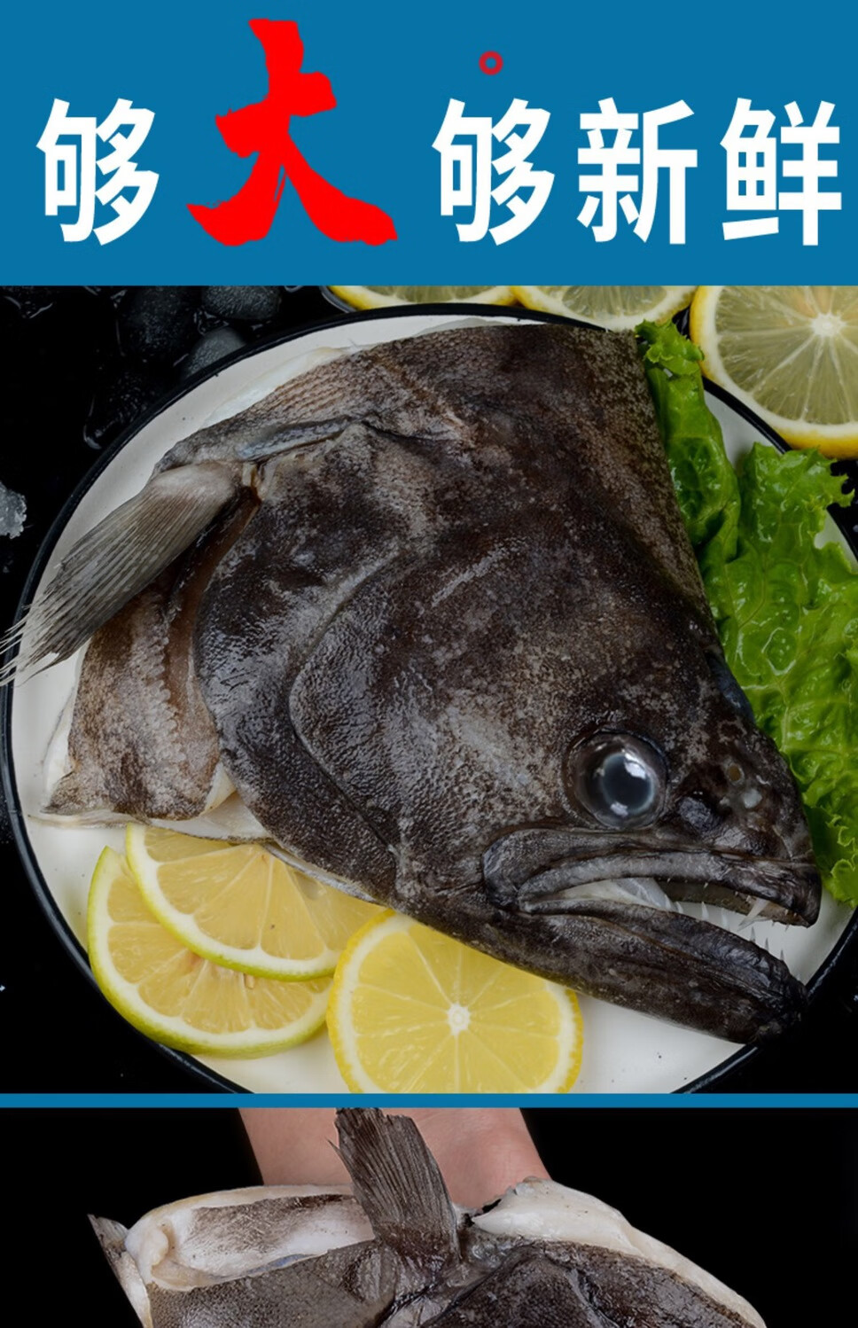 鲽鱼头深海比目鱼海鲜新鲜碟鱼头冷冻鲜活鸦片鱼头 4只(新鲜) 鱼头(6
