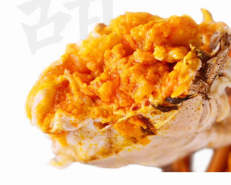 【活蟹】白荡里大闸蟹现货螃蟹鲜活特大 全母螃蟹批发 鲜活海鲜白荡湖